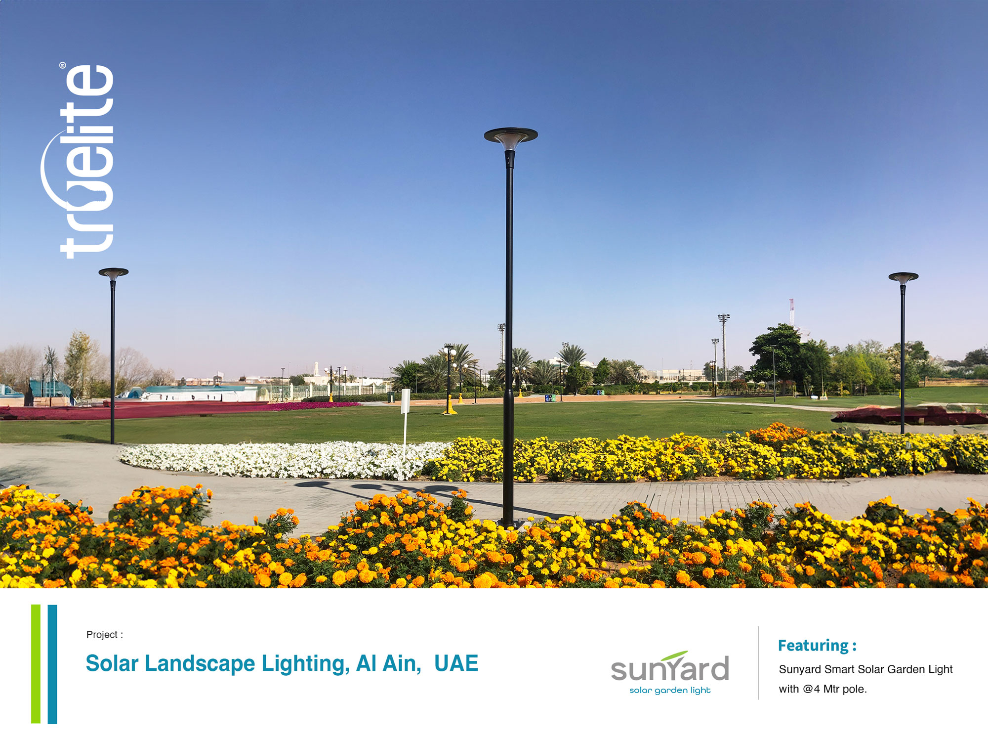 Solar Landscape Lighting